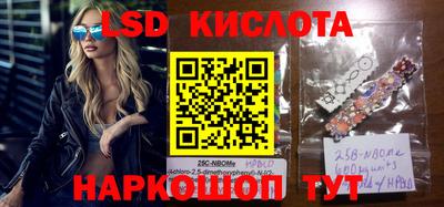 mdpv Камышлов