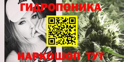 mdpv Камышлов