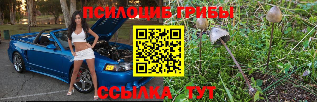 Галлюциногенные грибы прущие грибы Кызыл